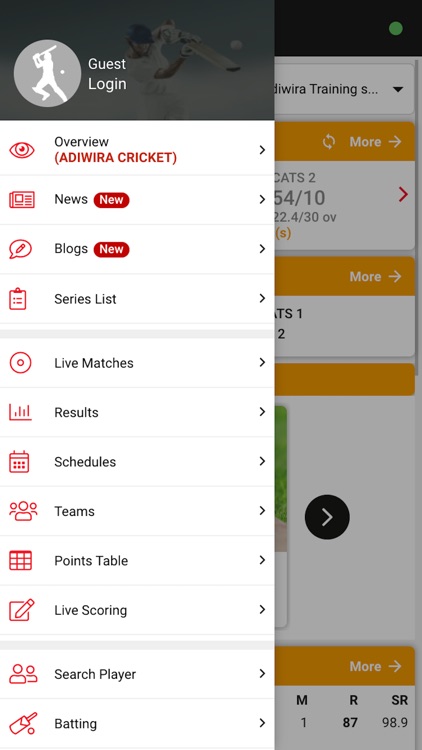 Cricket Adiwira screenshot-3