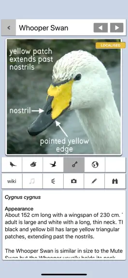 Game screenshot Birds of Britain Pro hack