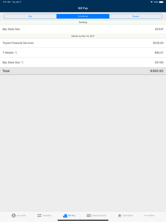 Sunmark Mobile iPad screenshot 4 - Finance app