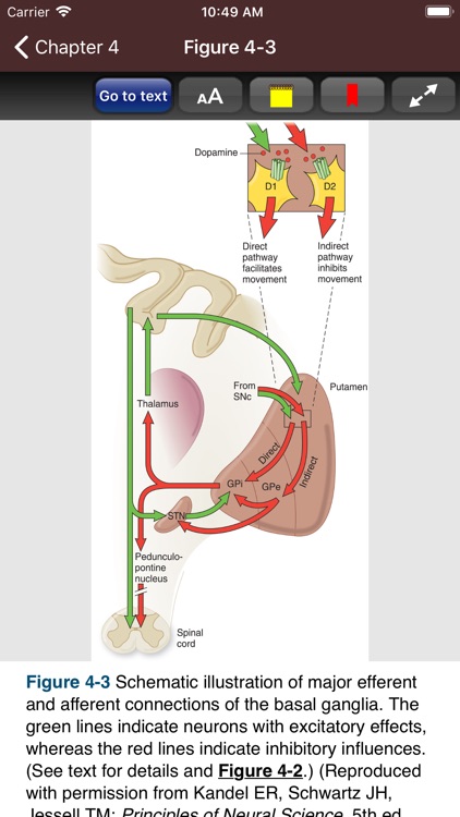 Adams & Victor's Neurology 11e screenshot-6