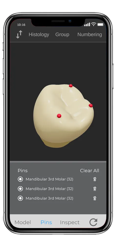ToothView™ - Education App | MWM