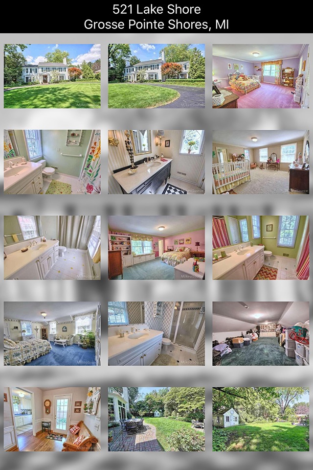 Michigan Real Estate Search screenshot 4