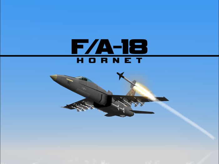 FA18 HORNET FIGHTER JET