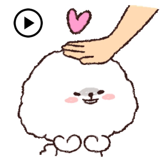 Animated Fluffy Bichon Frise