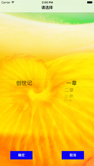 圣经‧普通话聆听版 Screenshot