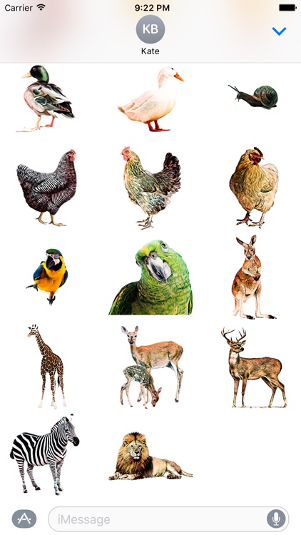 AddASticker Animals