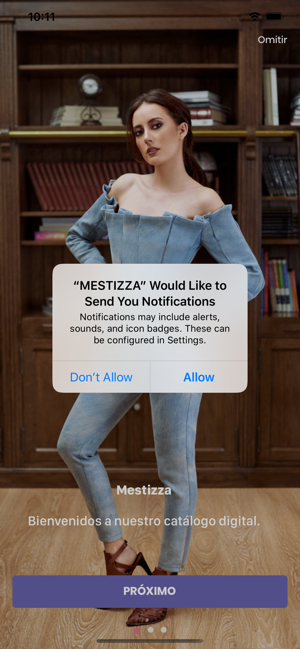 Mestizza