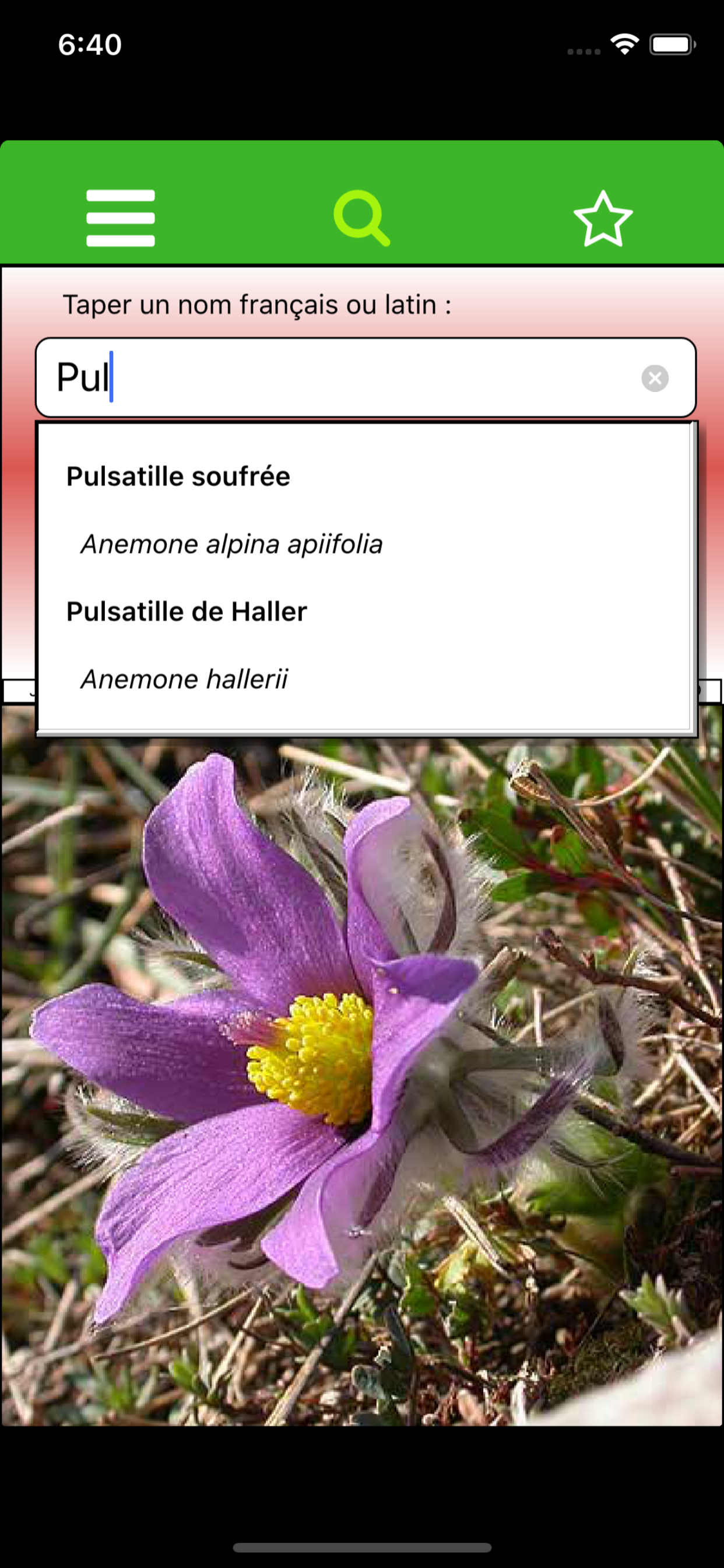 Randonnées botaniques 06