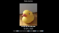 AwayCam iphone bilder 0