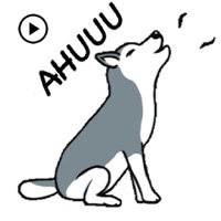 Animated Hyperactive Husky Dog pour PC