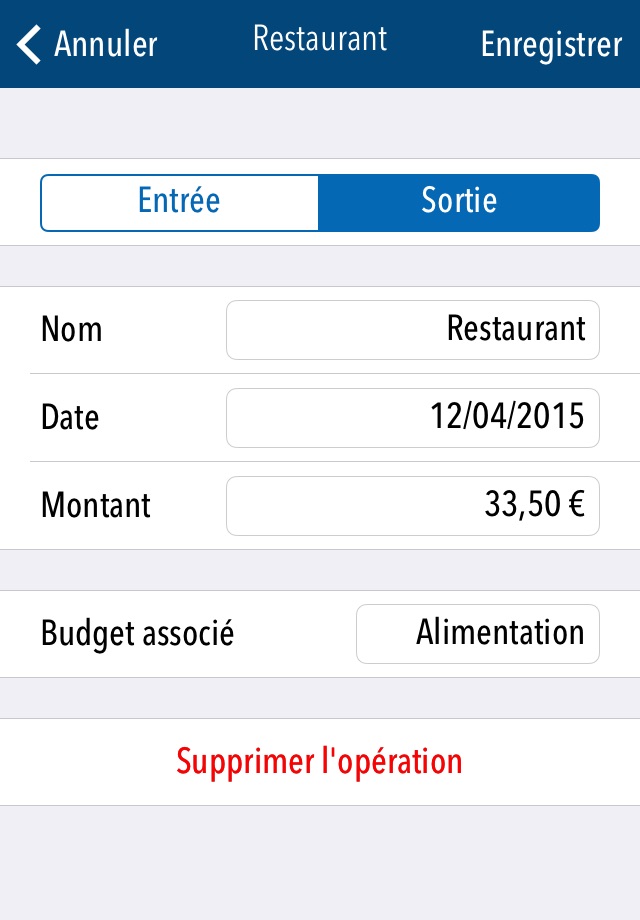 EstiBudget screenshot 4