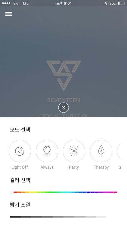 Seventeen Light Stick