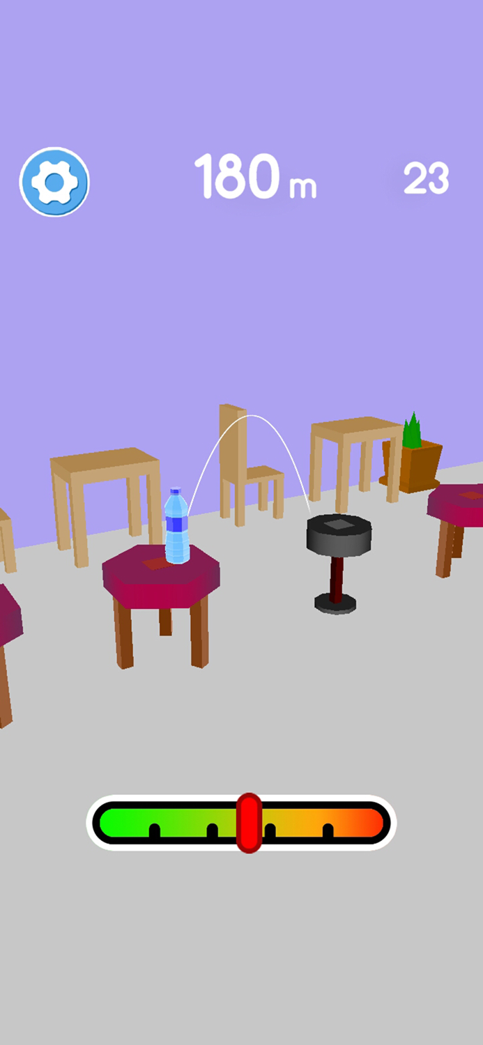 What the Flip - Bottle 3D