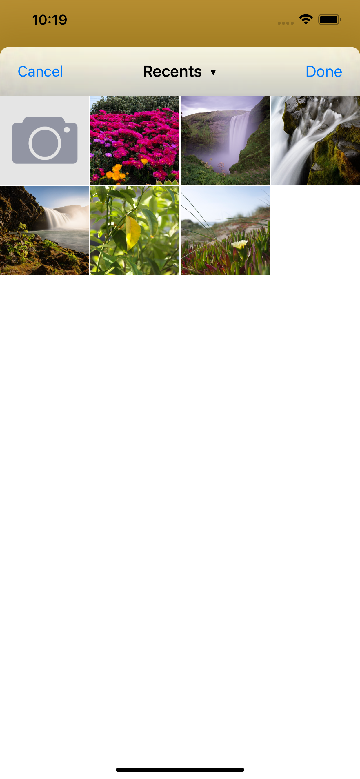 Liberty Photo App