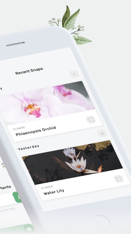 Botanis -Plant Identifier