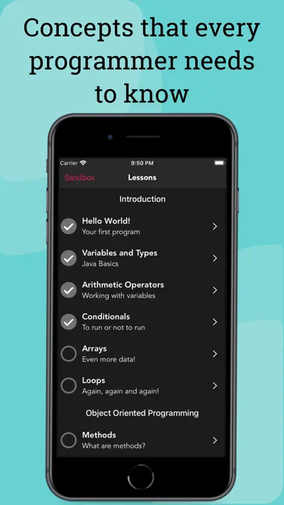 Learn Java Coding Lessons App iPhone-skjermbilde 1