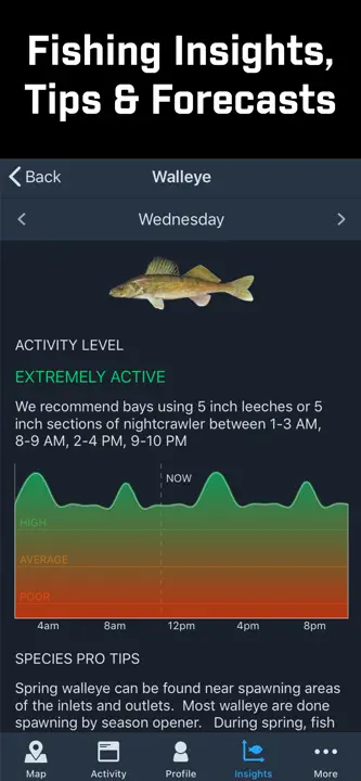 Fishidy: Screenshot 2 von 10