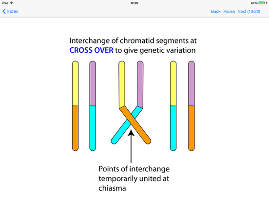 Screenshot #4 pour Embryology Lectures