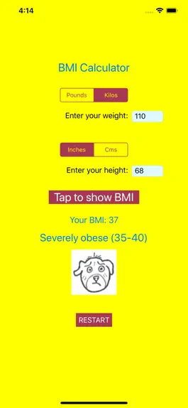Game screenshot Amusing BMI Calculator hack