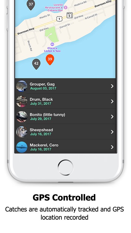 FishVerify: Florida Fish ID screenshot-4