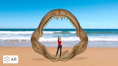 Megalodonのおすすめ画像7