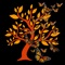 Newly Redesigned