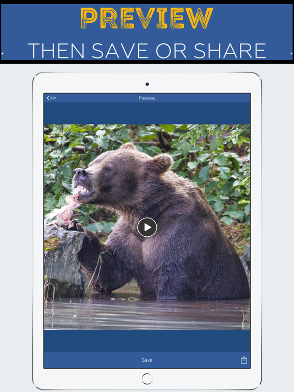 Clippy: Video Editor Edit Tool iPad screenshot 4 - Photo & Video app