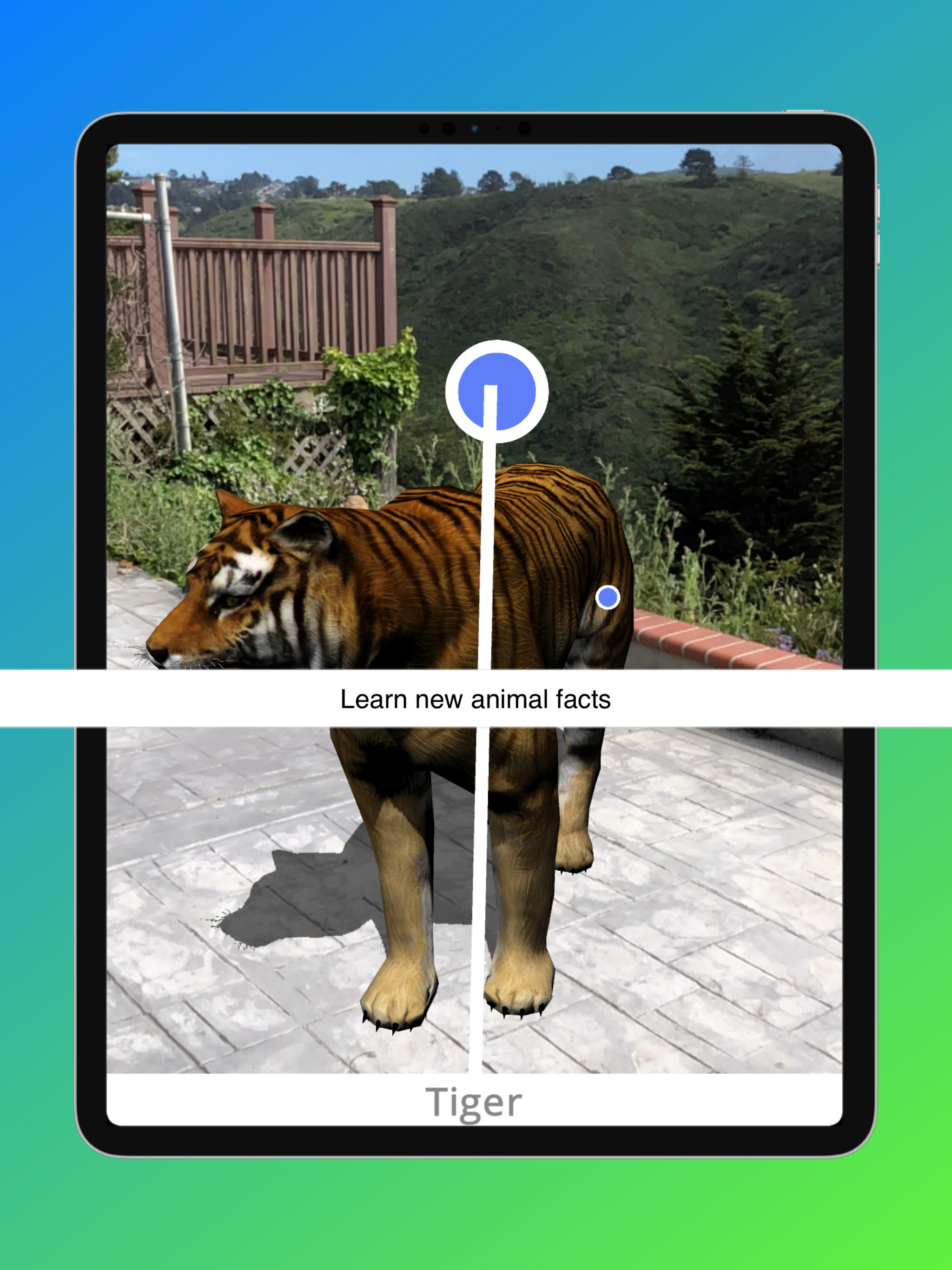 Animal Safari AR - 3D Learning screenshot 9