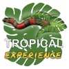 TropicalExperience