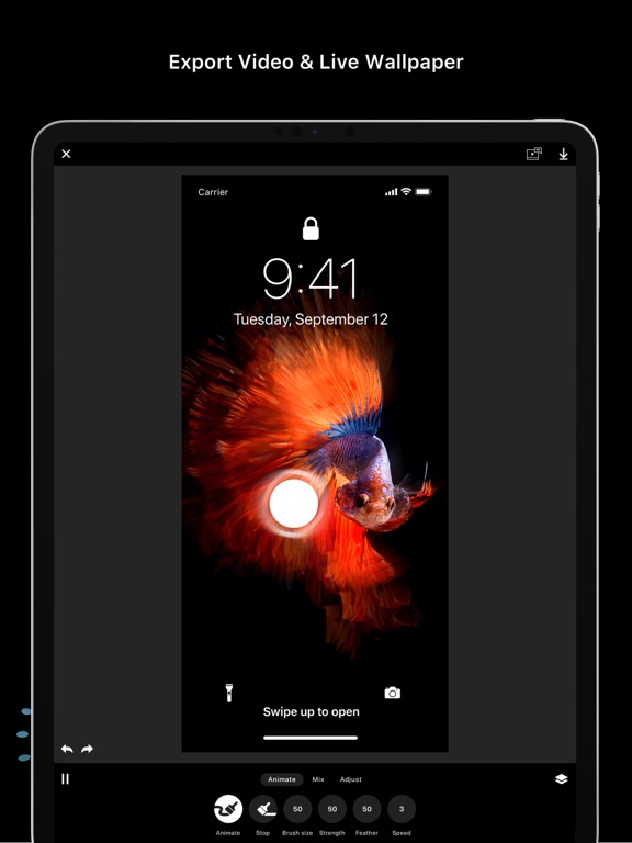 Disflow - Motion Image Editor iPad screenshot 6 - Photo & Video app