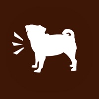 Bad Pug - Creative Studio PC 용