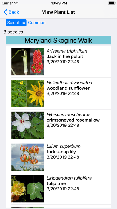 Maryland Wildflowers Screenshot