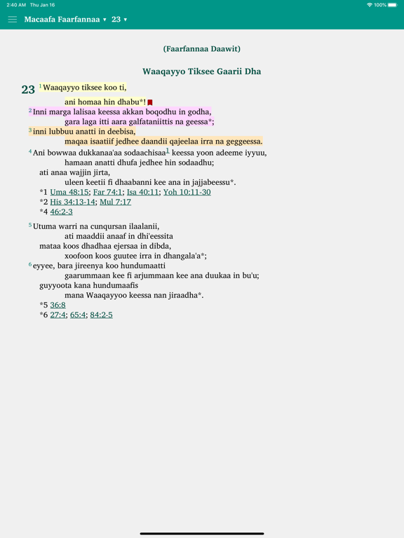 Macaafa Qulqulluu Afaan Oromoo iPad screenshot 5