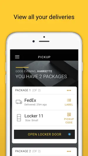 Luxer One screenshot 2