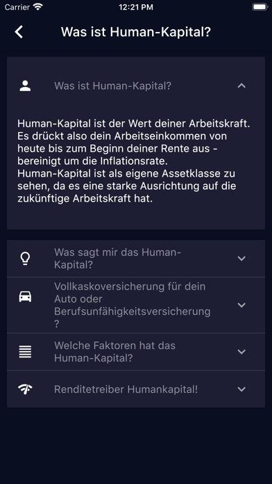 Human-Kapital-Rechner screenshot 4