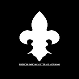 French Synonyms Terms Meaning