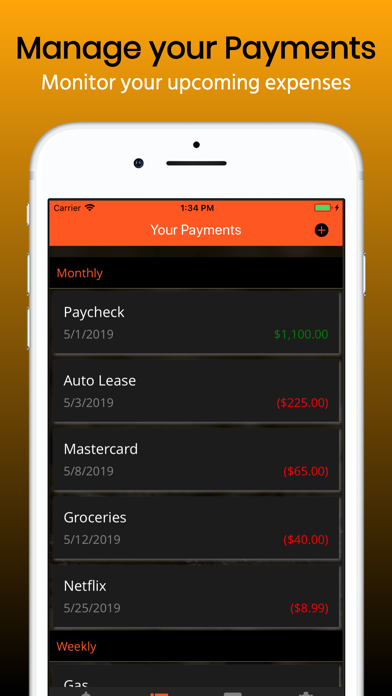 Budget Planner Pro Screenshot