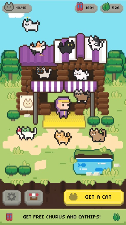 Let's Get the Cats: Cute Cats