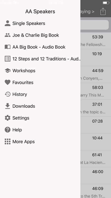 AA Speakers (Alcoholics) screenshot-3