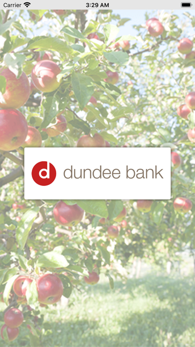 Dundee Bank Business Screenshot