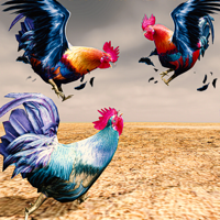 Wild Rooster Chicken Simulator