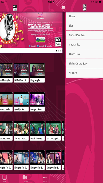 ARY MUSIK Screenshot
