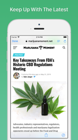 NewsBudz screenshot