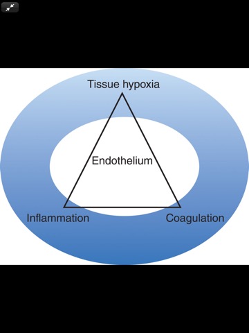 Tintinalli's ER Study Guide 9Eのおすすめ画像8