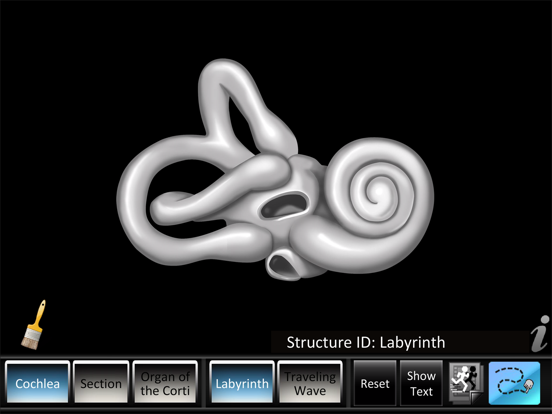 Screenshot #4 pour Inner Ear ID