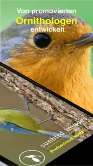 Vogel Id Gartenvögel bestimmen iphone bilder 1
