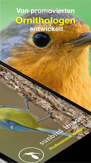 Screenshot von Vogel Id Gartenvögel Bestimmen auf dem iPhone 2