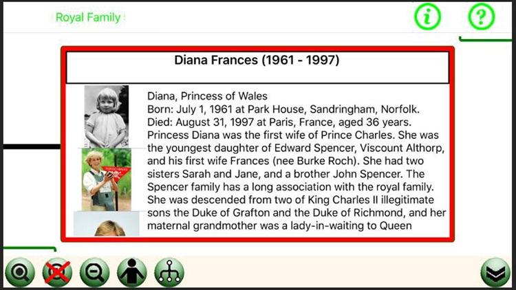Family Tree Designer