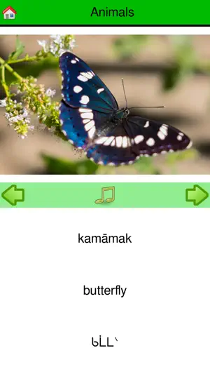 LifeSpark Developer App screenshot 1
