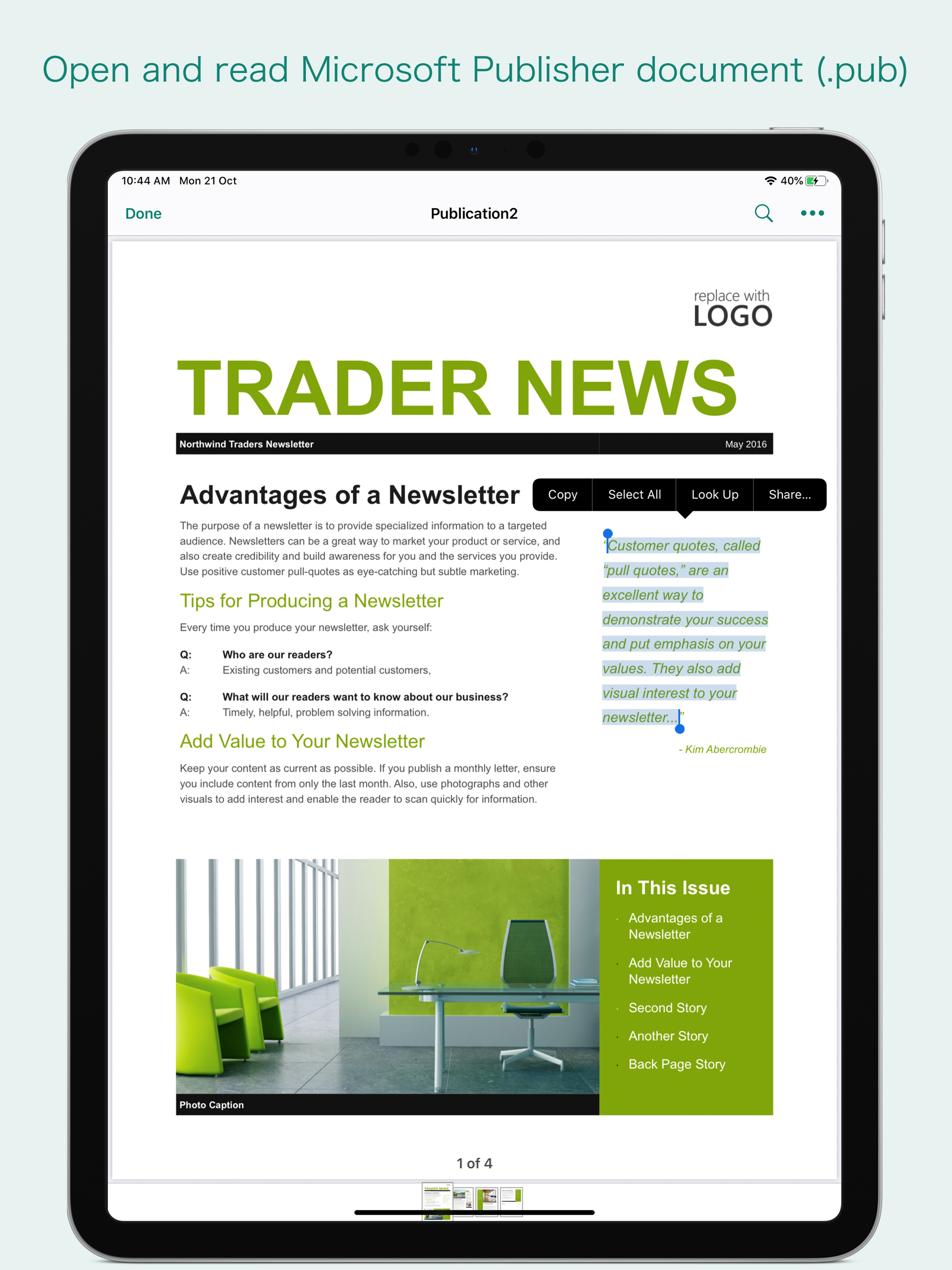 PUB Reader - for MS Publisher